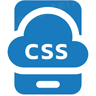 customsoftsolution.com